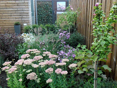 Afbeelding: Bloemrijke tuin met vaste planten