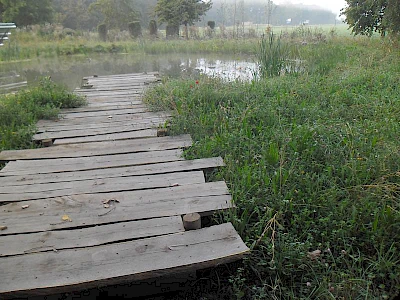 Afbeelding: De heringerichte landschappelijke tuin